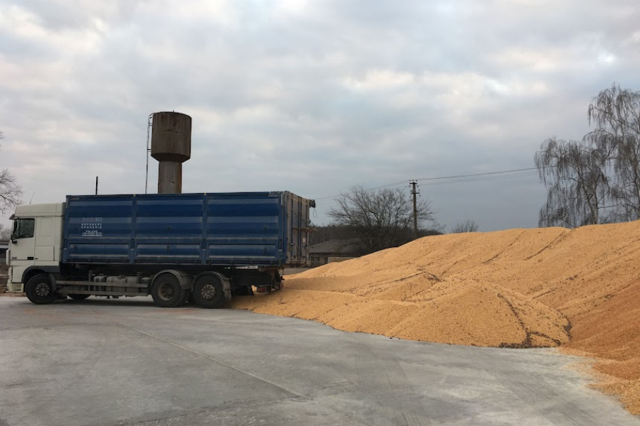 Окупанти вивезли з України зернових  на понад 600 млн доларів