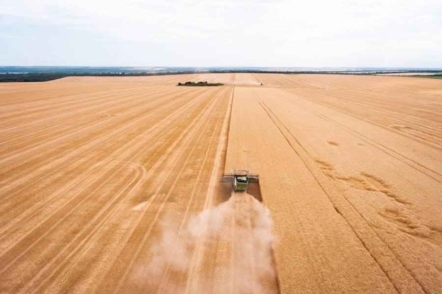В Україні вже намолотили перший мільйон тонн зерна — Мінагрополітики