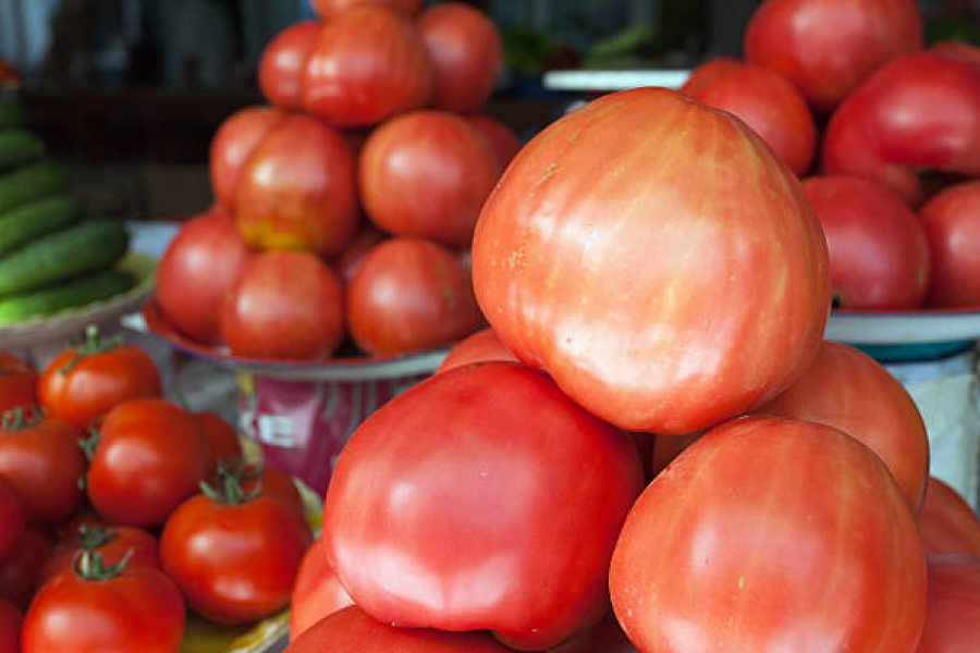 Ціна на помідори в Україні рекордно зросла