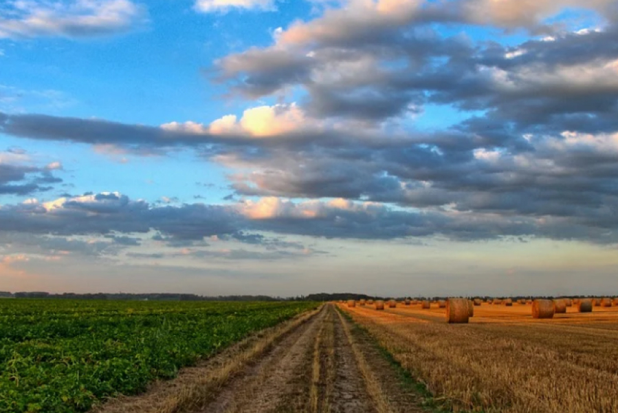 В Україні за рік укладено 105 173 земельні угоди — Мінагрополітики