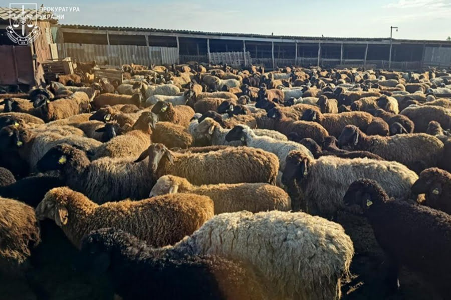 На Одещині викрили масштабну схему розкрадання агродотацій