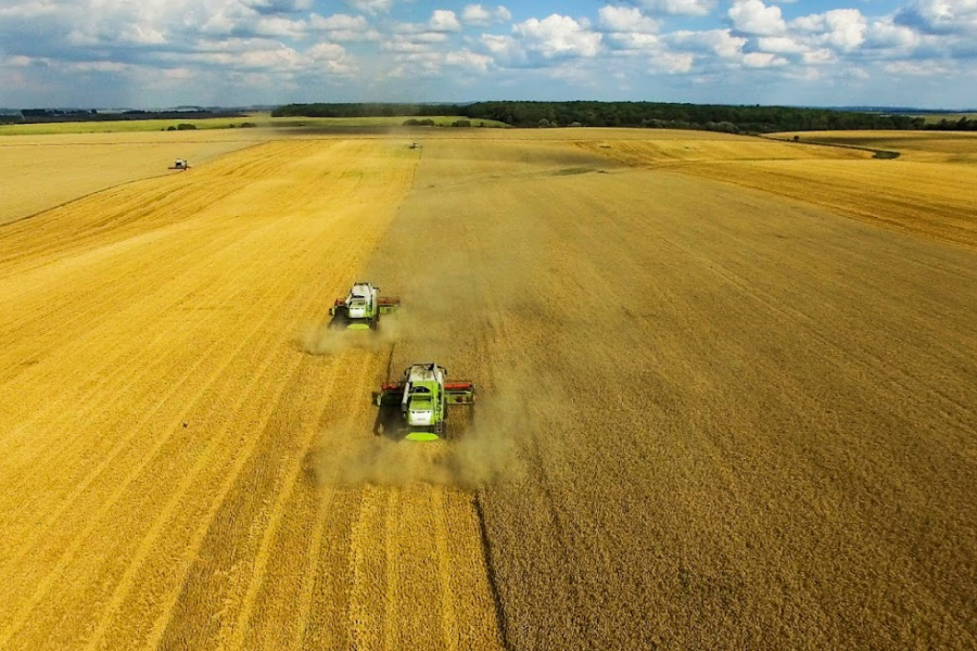 В Україні знизилась вартість 1 гектару землі