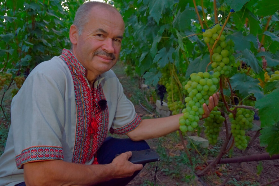 Сергій Пойда, вирощує 500 сортів винограду