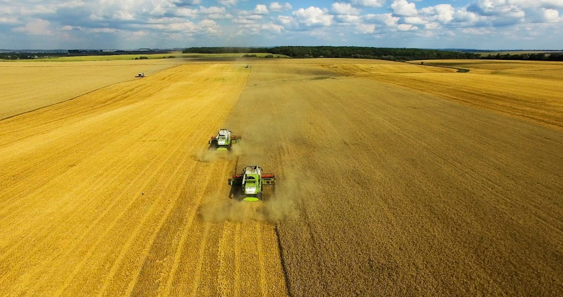 На Харківщині фермер нелегально отримав 366 га земельних угідь