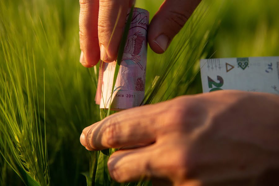 Грант на власний агробізнес близько 40 тисяч гривень можуть отримати родини на Сумщині
