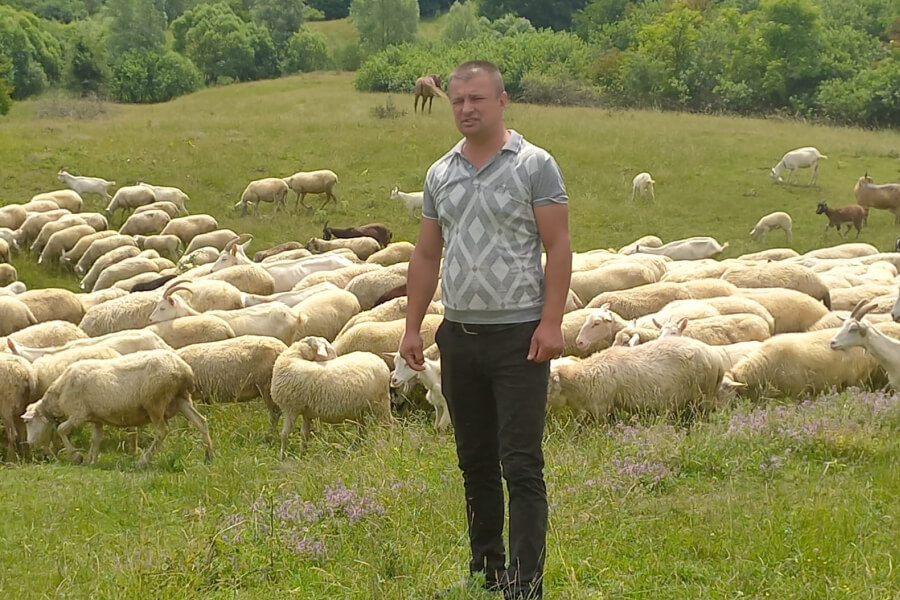 Адріан Гуз, вівчар
