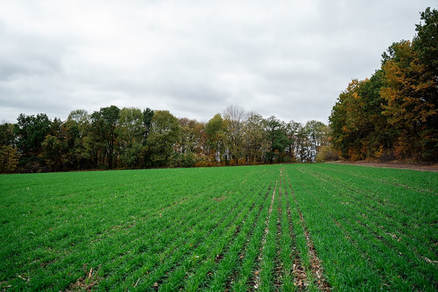 ВКФ проведе вебінар для аграріїв про поновлення договору оренди землі