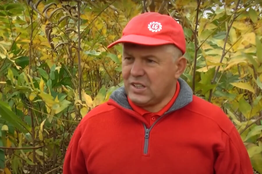 В селі Лісове висадили 6 гектарів горіху пекан