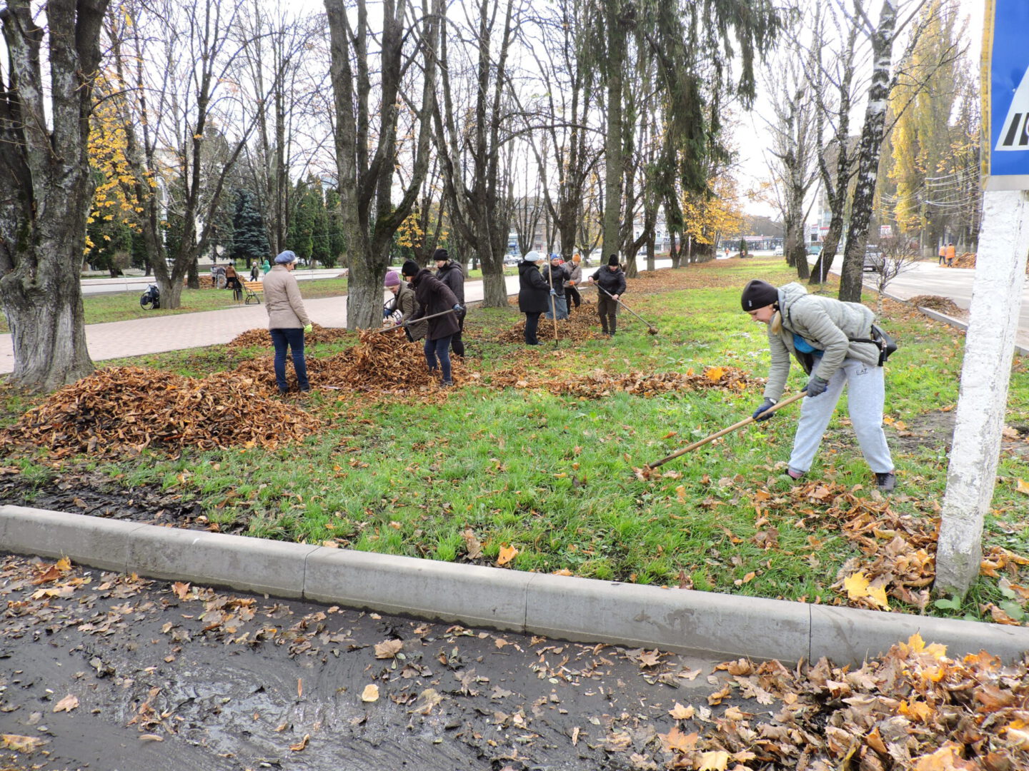Усі — на суботники й толоки: як в Україні досі змушують вчителів прибирати листя
