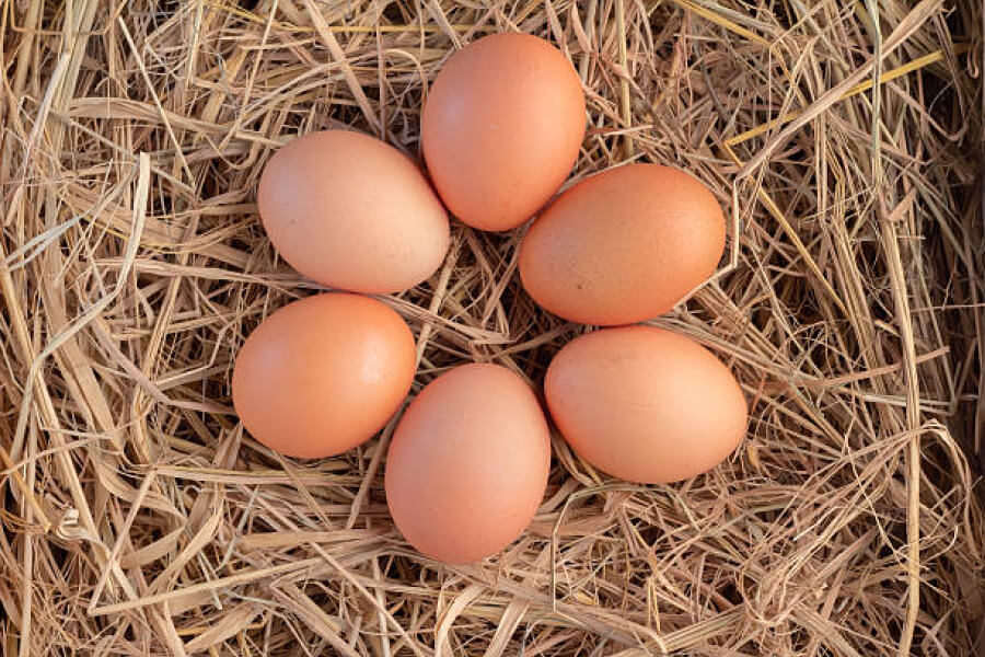 Міністерство аграрної політики планує затвердити вимоги до курячих яєць