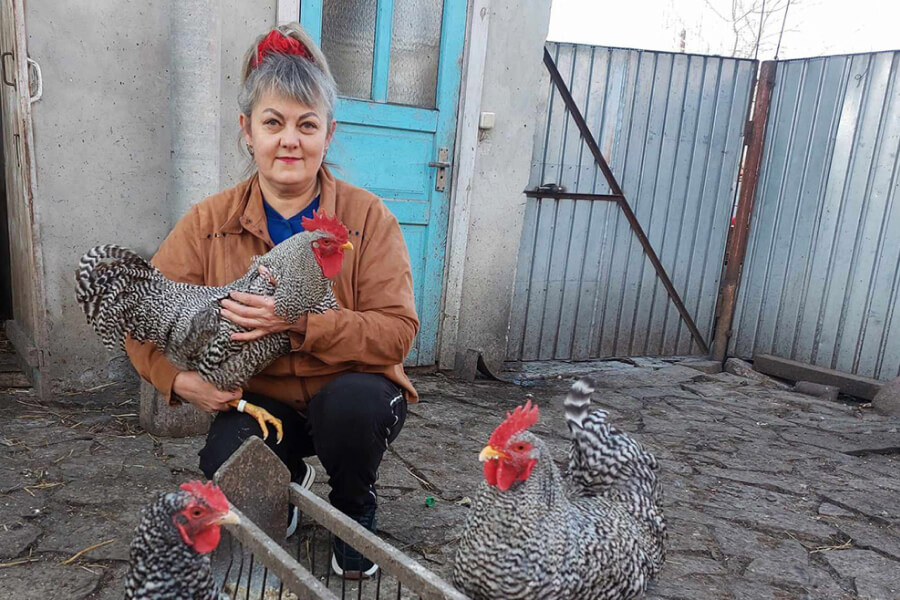 Вчителька з села Збручанське розводить курей елітних порід 