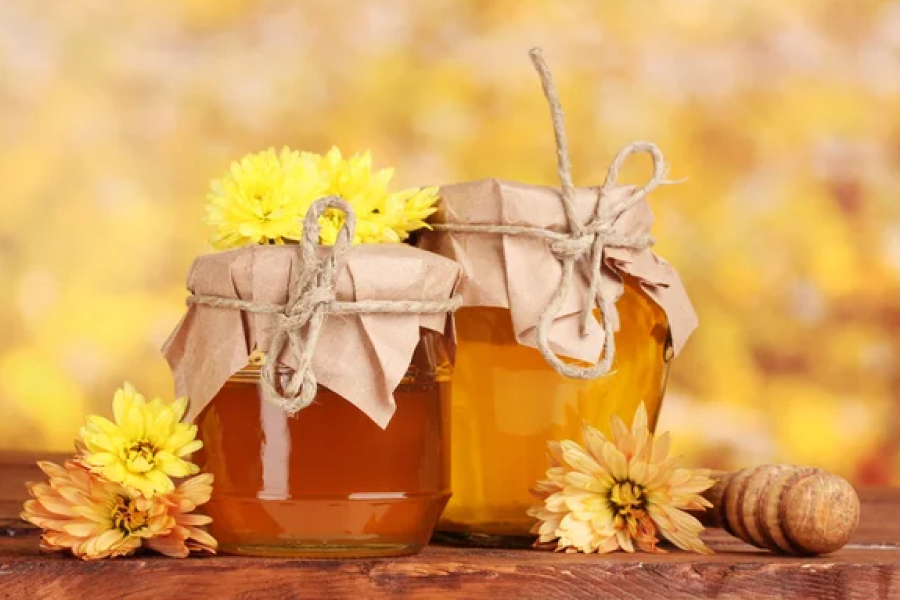 Волинські лісові пасіки цьогоріч зібрали 15 тонн меду