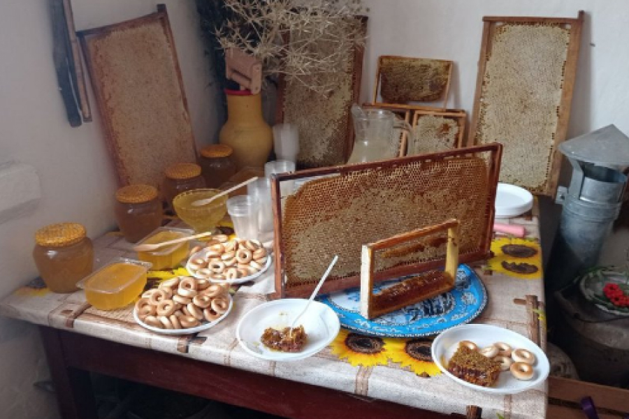 Родина з Сумщини створила музей бджільництва