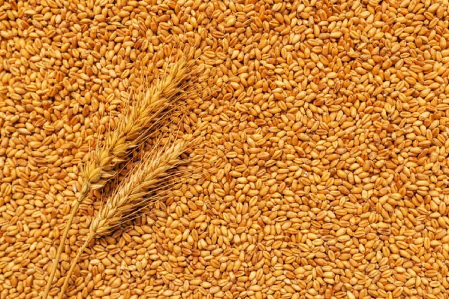Розподіляти залишки зерна тепер можуть облдержадміністрації