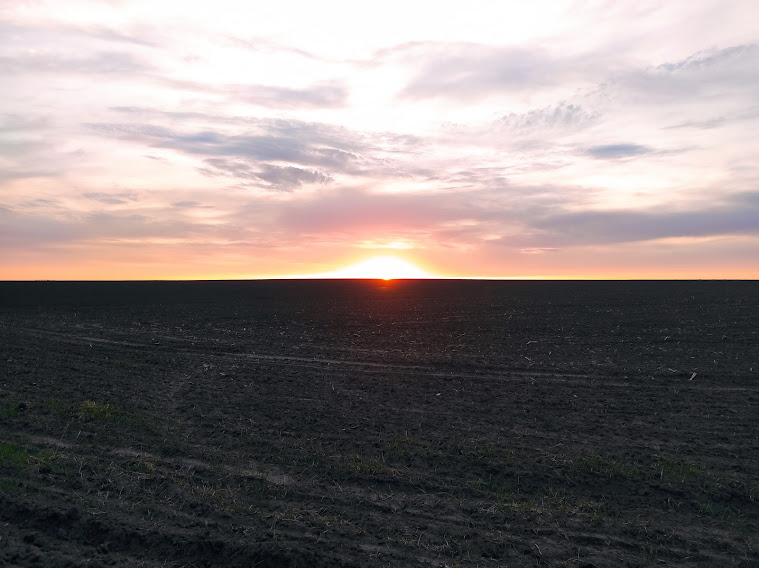 Захід сонця в полі