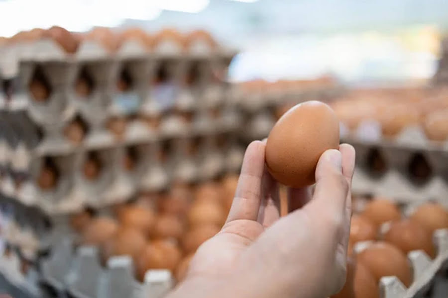 ДПСС підтвердила скандал з українськими яйцями у Франції