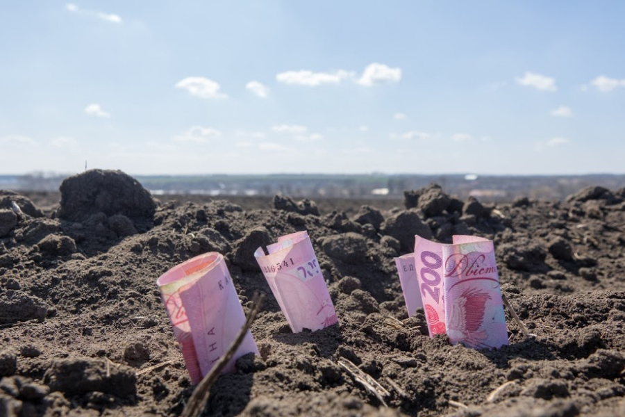 В Україні затвердили правила перевірки покупців земельних ділянок