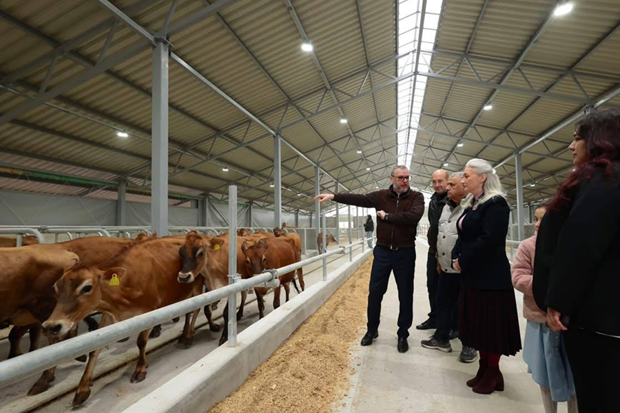 На Вінниччині відкрили першу з початку великої війни сучасну молочну ферму