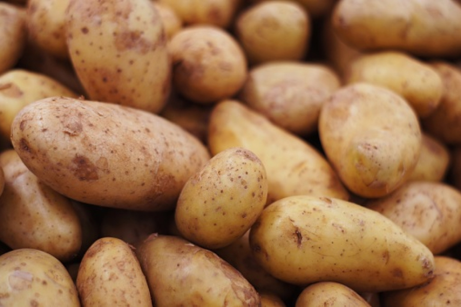 Імпорт картоплі Україною зменшився втричі