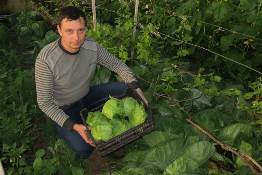 Андрій Марченко, співзасновник органічної ферми