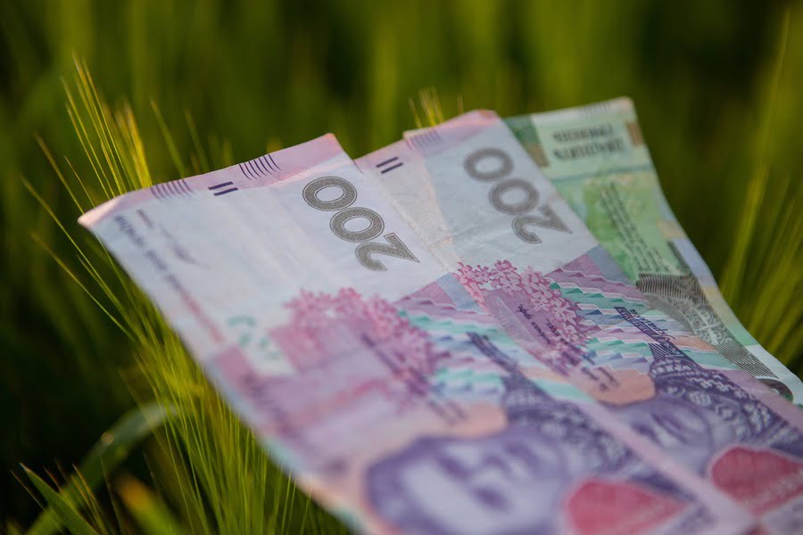 Кредити для малих і середніх фермерів: чим допоможе Фонд часткового гарантування?