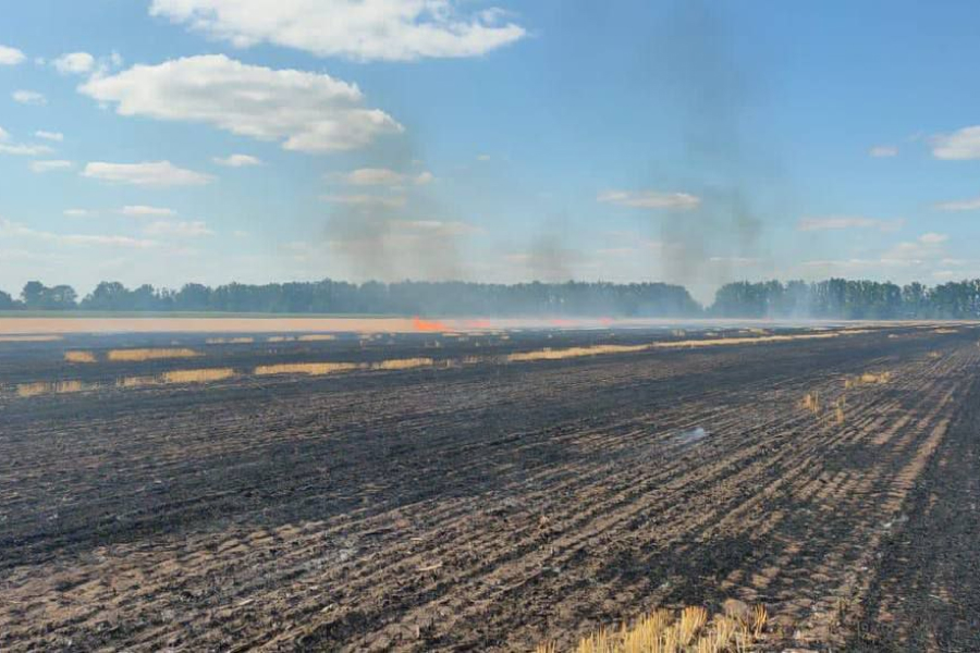 На Дніпропетровщині 12 тисяч гектар полів залишаються замінованими — Резніченко
