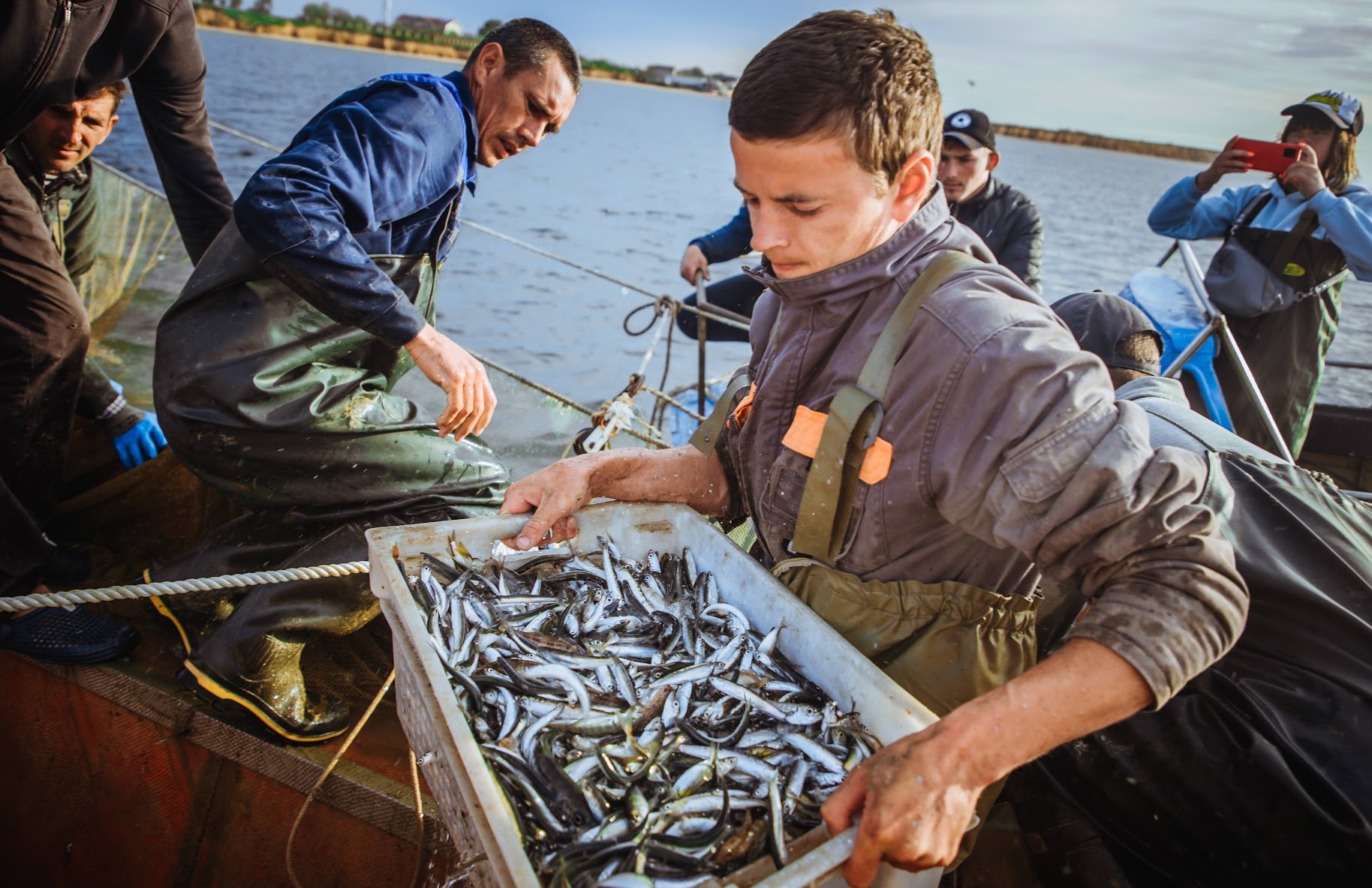 Покращення регуляторного середовища у секторі аквакультури: субгрант для реалізації проекту