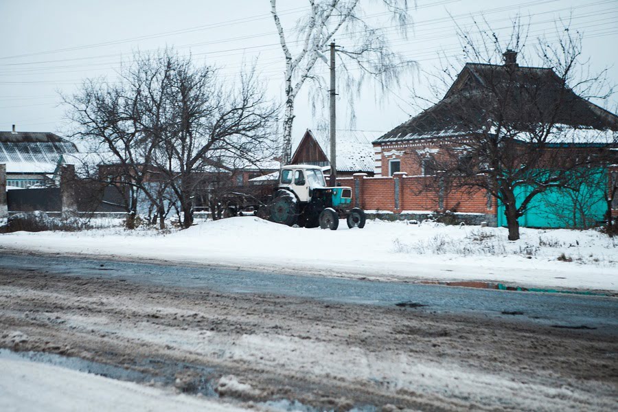 Посівний місячний календар на лютий 2026: що і коли сіяти