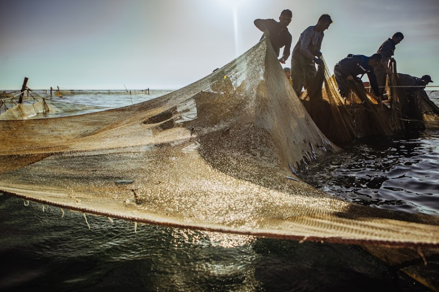 На Чернігівщині виявлено грубе порушення правил рибальства