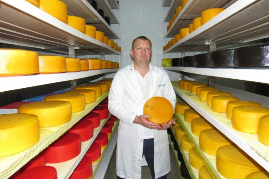 У селі Неморож родина виготовляє два десятки крафтових сирів
