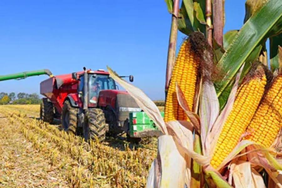 Цьогоріч в Україні прогнозують зростання сільгоспвиробництва майже на 3%