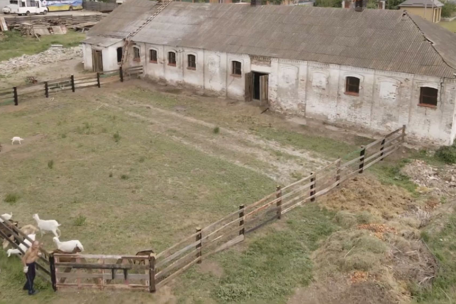 На території колишної садиби Скліфосовського оселились врятовані кози