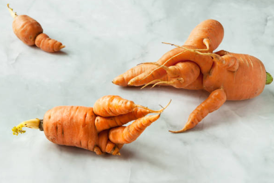 Городникам пояснили, чому морква виростає рогатою
