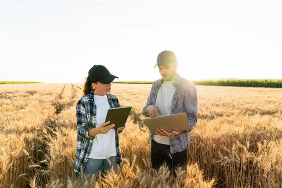 Фермери в рамках Open Agri Club отримують поради й прогнози щодо цін на ринку зерна