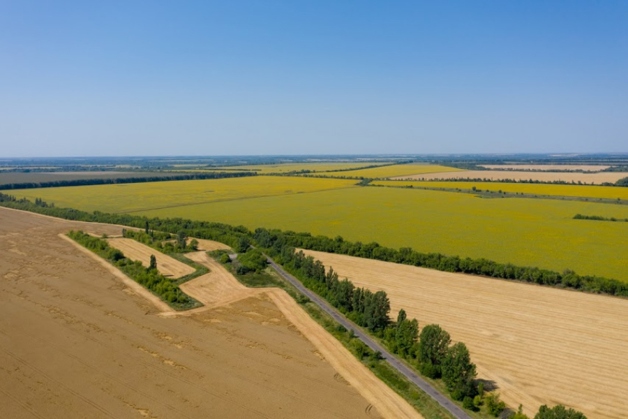 Ринок землі в Україні нараховує майже 8000 земельних угод