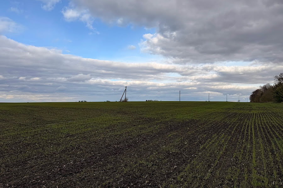 Агропідприємство з Вінниччини платить пайовикам за оренду 14% НГО