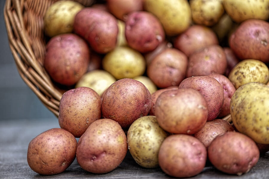  В Україні очікується ріст ціни на картоплю  — експерт