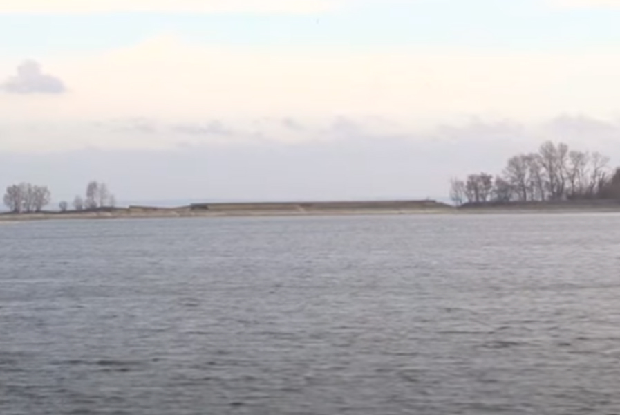 До Кременчуцького водосховища планують випустити 40 тонн риби