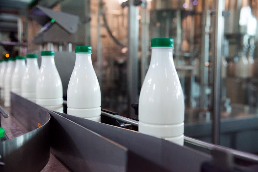 Надходження молока на переробні підприємства продовжує скорочуватись 