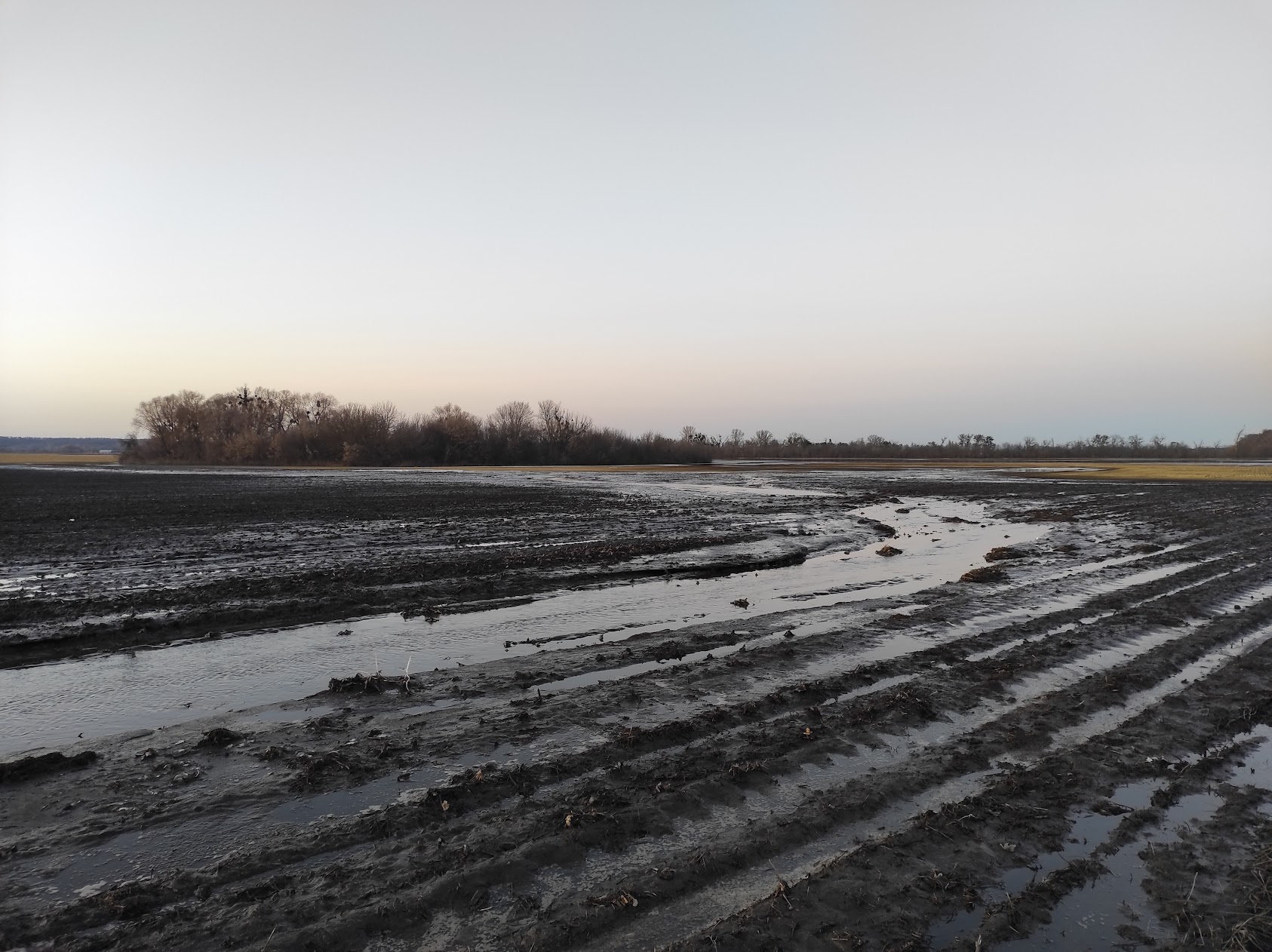 Тала вода на полі