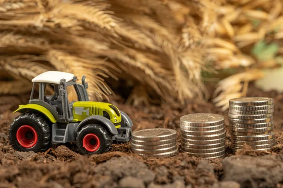 Кредити для агровиробників до 500 га: Мінекономіки запускає систему держгарантій