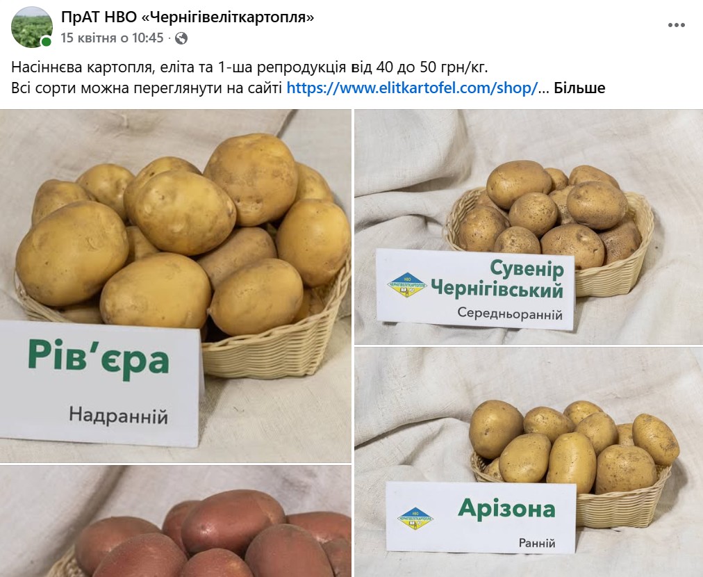 Картопля насіннєва