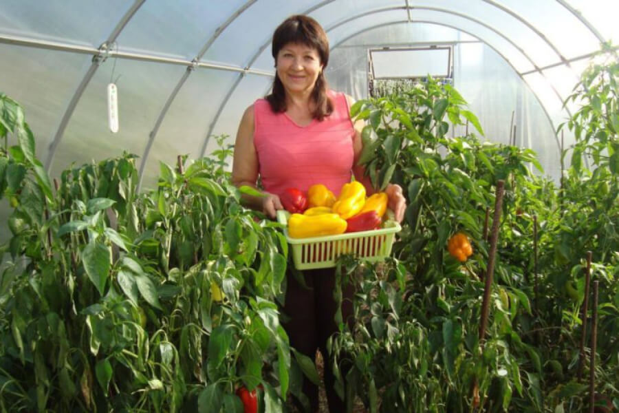 Тамара Проскурня, власниця колекції насіння