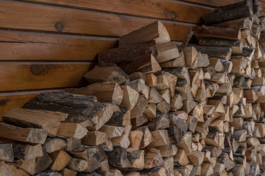 Досвідні господарі розповіли, які дрова краще заготовляти