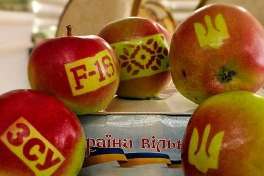 Фермери з Вінниччини виростили яблука з дизайном ЗСУ