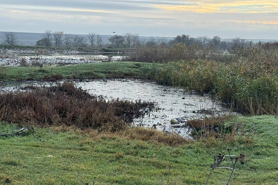 Посадовців Болграда звинувачують у забрудненні 3 га землі каналізацією