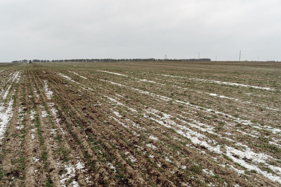 За рік воєнного стану в Україні укладено понад 44 тисячі земельних угод