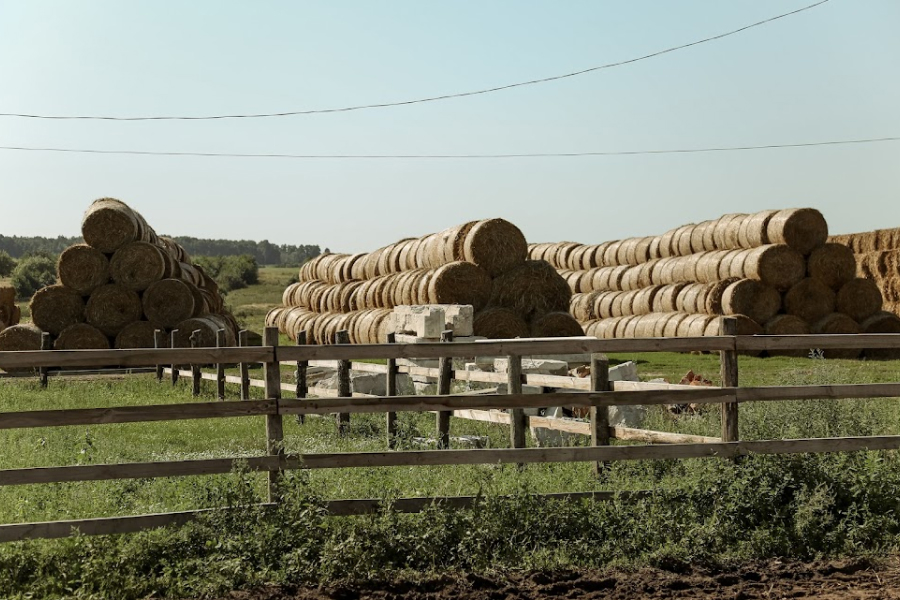 На Луганщині фермер виготовляє біопаливо