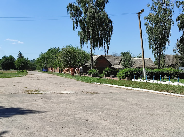 Центральна вулиця в селі Миколаївка
