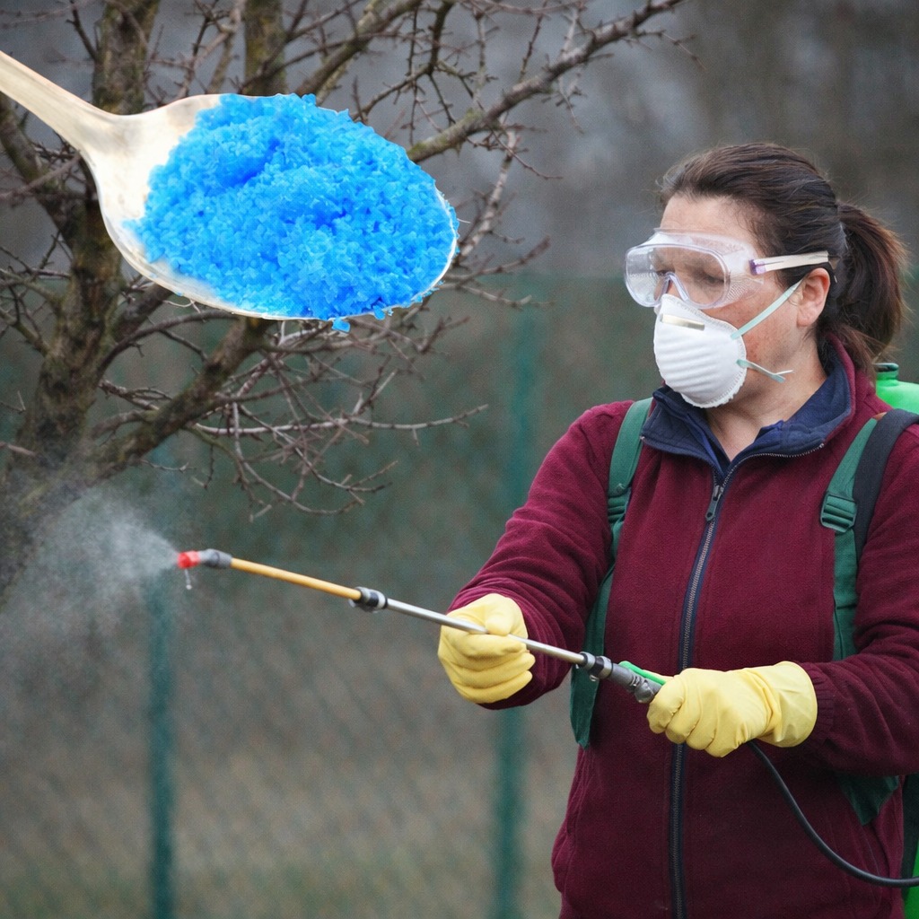 Обприскувати сад